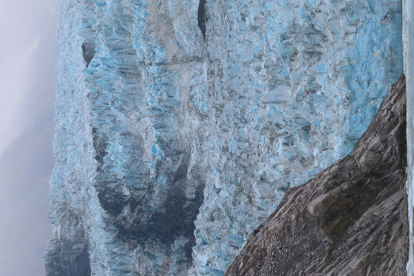 McBride Glacier area of Glacier Bay Alaska