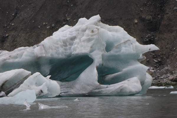 McBride Glacier area of Glacier Bay Alaska