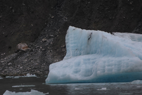 McBride Glacier area of Glacier Bay Alaska