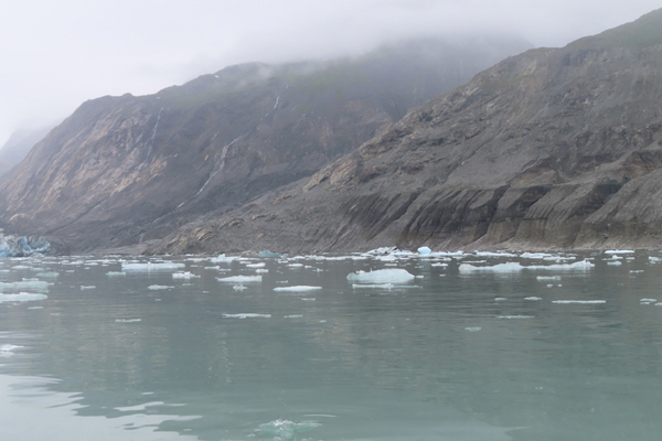 McBride Glacier area of Glacier Bay Alaska