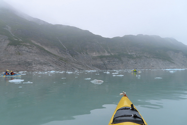 McBride Glacier area of Glacier Bay Alaska