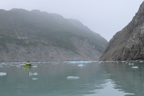 McBride Glacier area of Glacier Bay Alaska