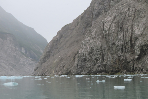McBride Glacier area of Glacier Bay Alaska