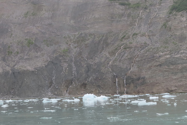 McBride Glacier area of Glacier Bay Alaska