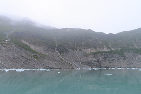 McBride Glacier area of Glacier Bay Alaska