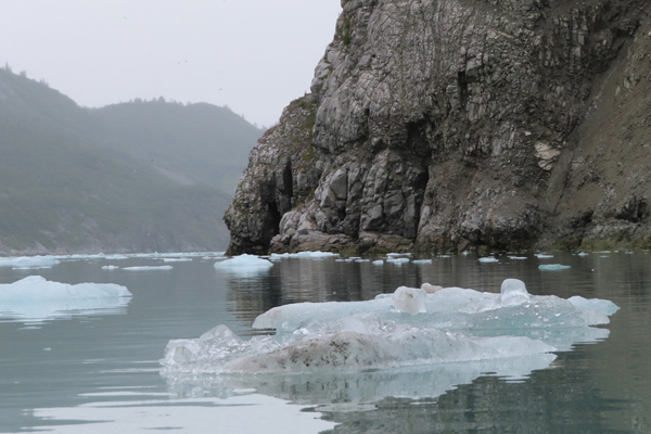 McBride Glacier area of Glacier Bay Alaska
