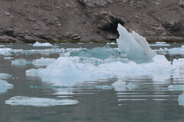 McBride Glacier area of Glacier Bay Alaska