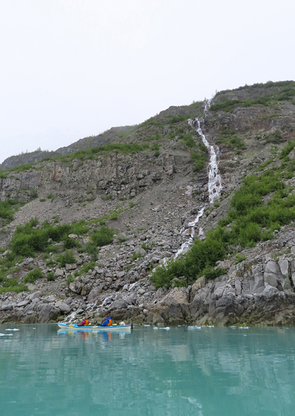 McBride Glacier area of Glacier Bay Alaska