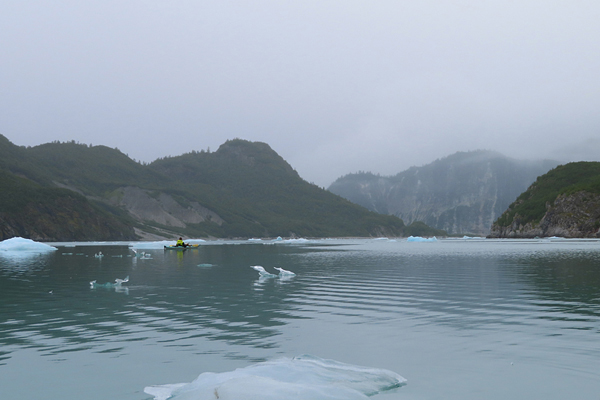 McBride Glacier area of Glacier Bay Alaska