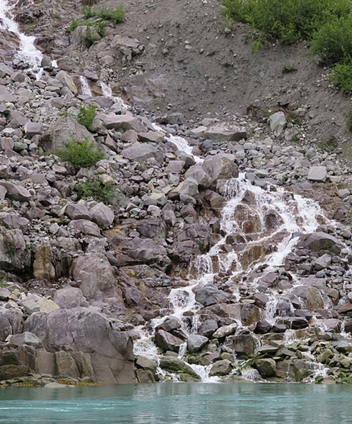 McBride Glacier area of Glacier Bay Alaska