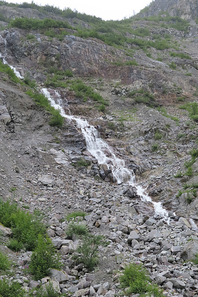 McBride Glacier area of Glacier Bay Alaska