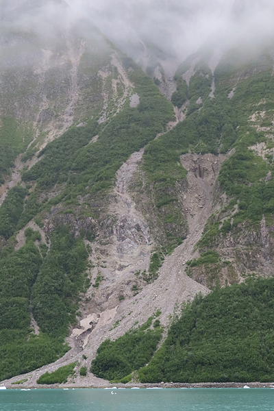 McBride Glacier area of Glacier Bay Alaska