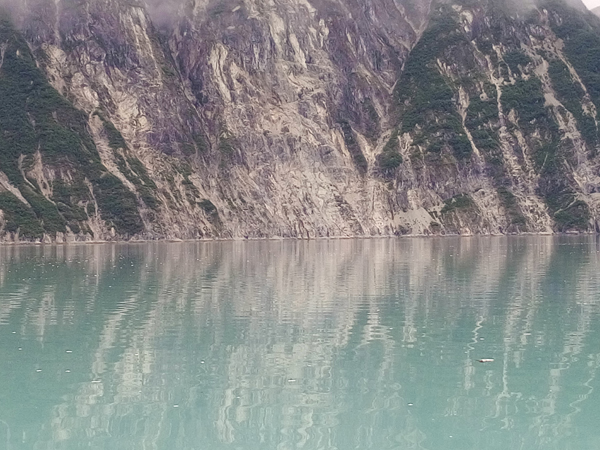 Near upper end of Muir inlet Glacier Bay National Park