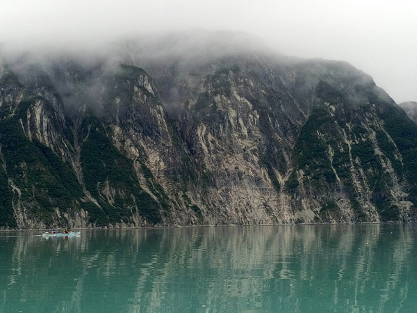 Near upper end of Muir inlet Glacier Bay National Park