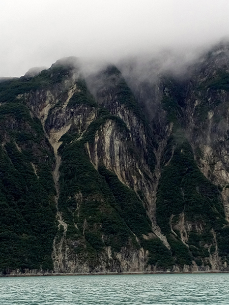 Near upper end of Muir inlet Glacier Bay National Park