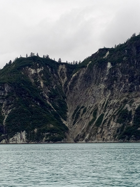 Near upper end of Muir inlet Glacier Bay National Park
