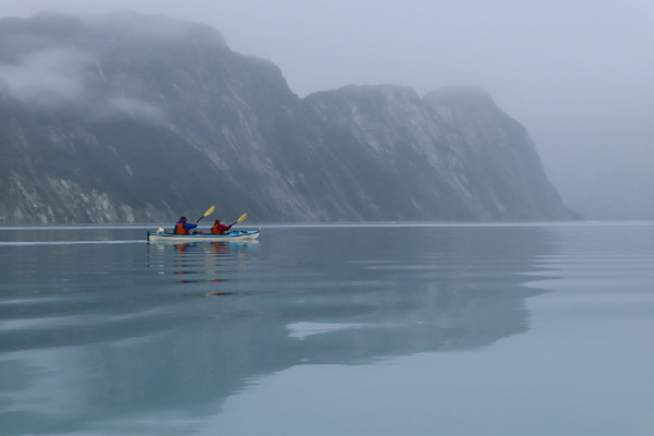 Near upper end of Muir inlet Glacier Bay National Park