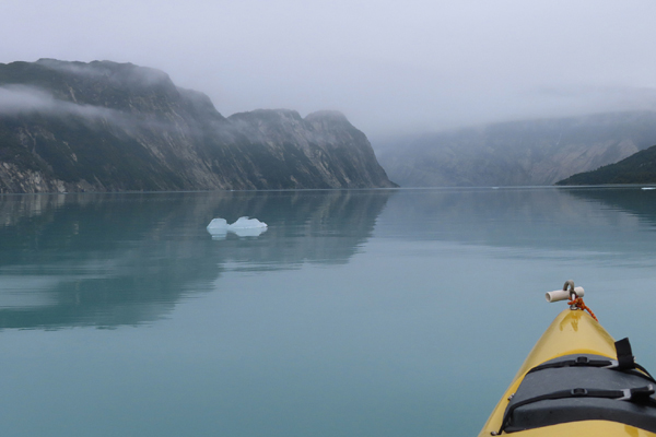 Near upper end of Muir inlet Glacier Bay National Park
