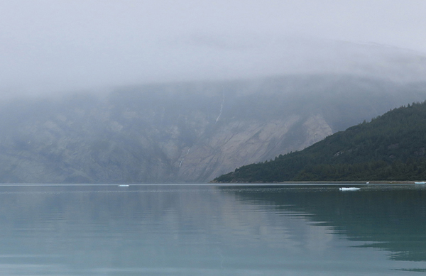 Near upper end of Muir inlet Glacier Bay National Park