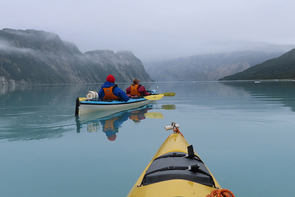 Near upper end of Muir inlet Glacier Bay National Park