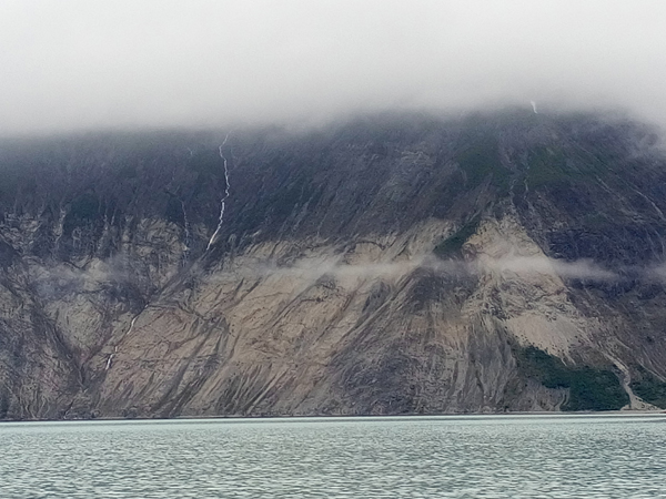 Near Riggs Glacier Glacier Bay National Park