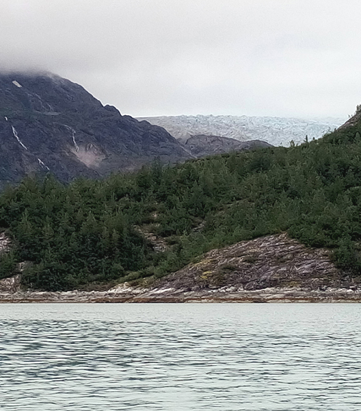 Near Riggs Glacier Glacier Bay National Park