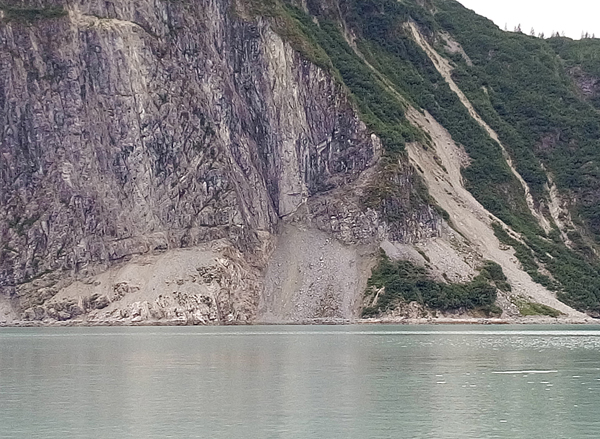 Near Riggs Glacier Glacier Bay National Park