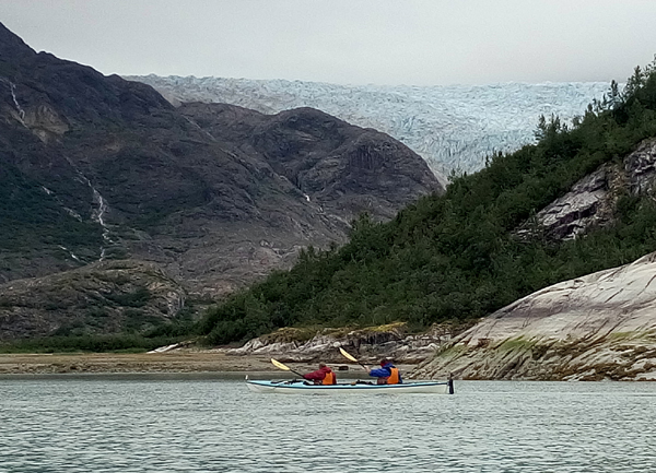 Near Riggs Glacier Glacier Bay National Park