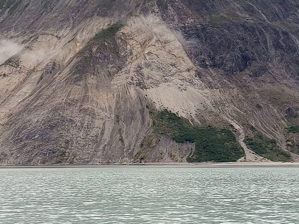 Near Riggs Glacier Glacier Bay National Park