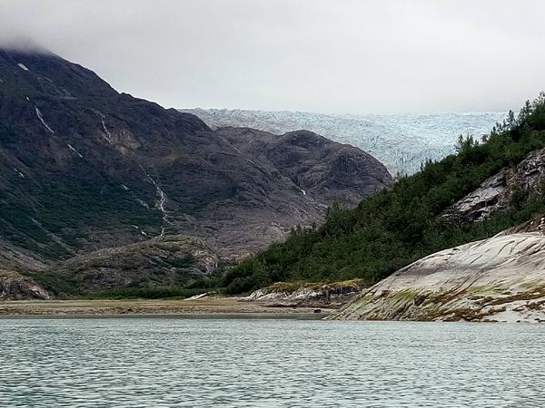 Near Riggs Glacier Glacier Bay National Park