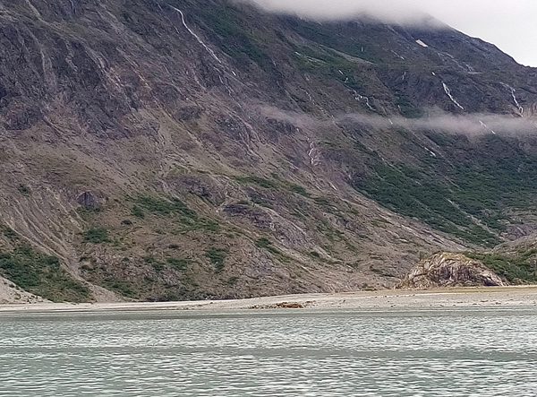 Near Riggs Glacier Glacier Bay National Park