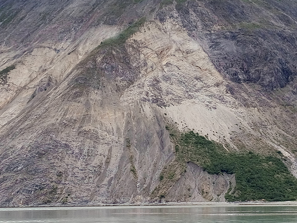 Near Riggs Glacier Glacier Bay National Park