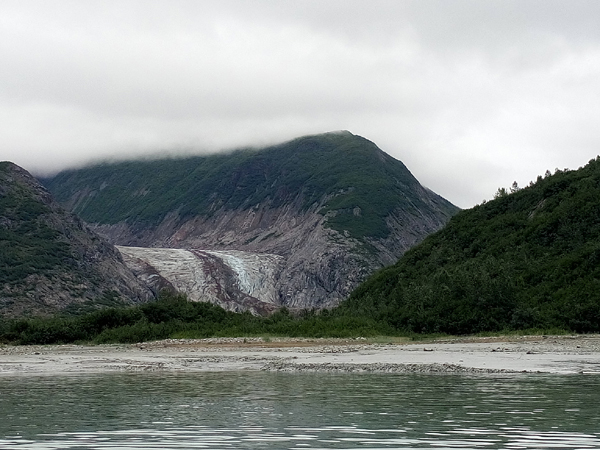 Near Riggs Glacier Glacier Bay National Park