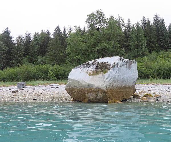 Shoreline in muir inlet Glacier Bay National Park Alaska
