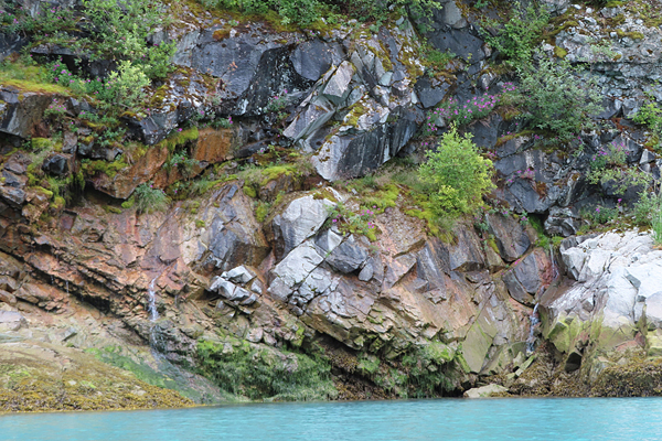 Shoreline in muir inlet Glacier Bay National Park Alaska