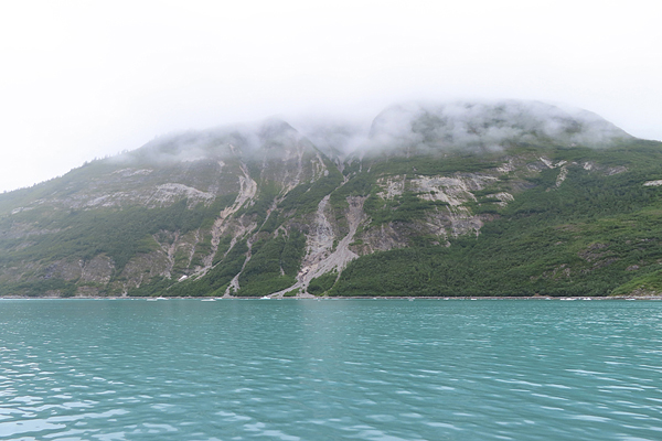 Shoreline in muir inlet Glacier Bay National Park Alaska