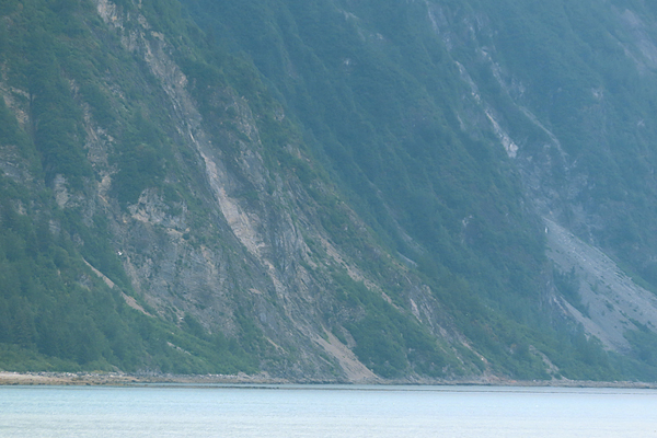 Shoreline in muir inlet Glacier Bay National Park Alaska