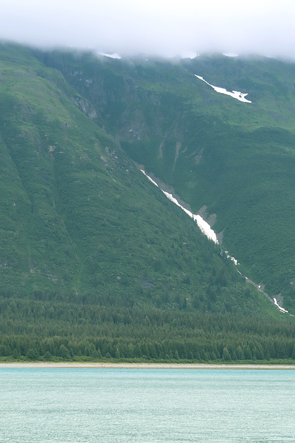 Shoreline in muir inlet Glacier Bay National Park Alaska