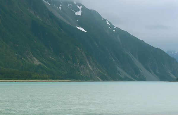 Shoreline in muir inlet Glacier Bay National Park Alaska