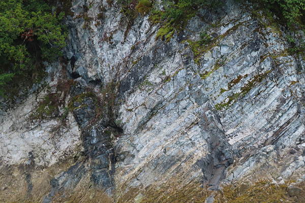 Shoreline in muir inlet Glacier Bay National Park Alaska