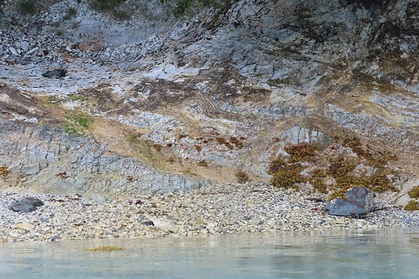 Shoreline in muir inlet Glacier Bay National Park Alaska