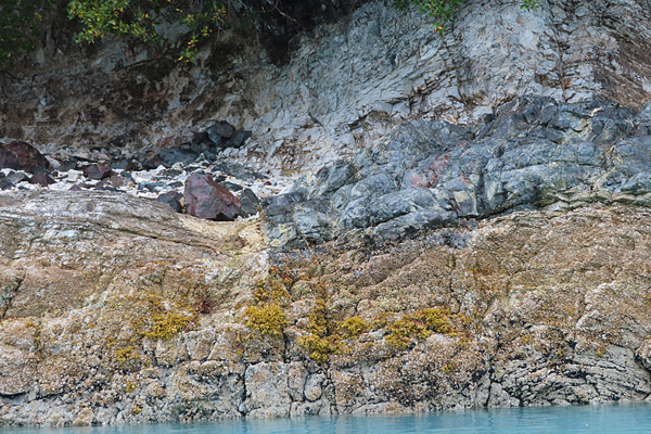 Shoreline in muir inlet Glacier Bay National Park Alaska