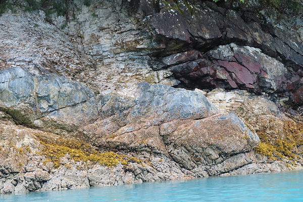 Shoreline in muir inlet Glacier Bay National Park Alaska