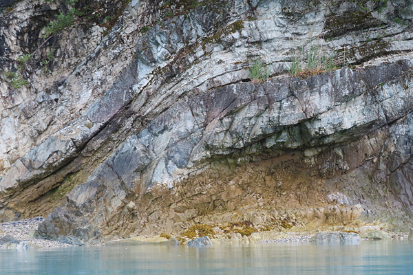 Shoreline in muir inlet Glacier Bay National Park Alaska