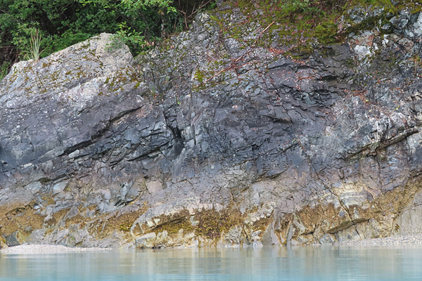 Shoreline in muir inlet Glacier Bay National Park Alaska