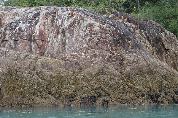 Shoreline in muir inlet Glacier Bay National Park Alaska
