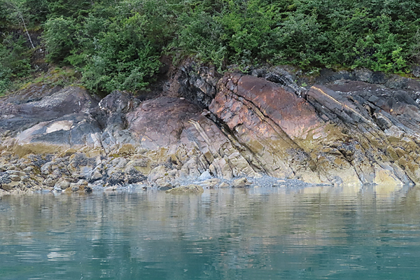 Shoreline in muir inlet Glacier Bay National Park Alaska