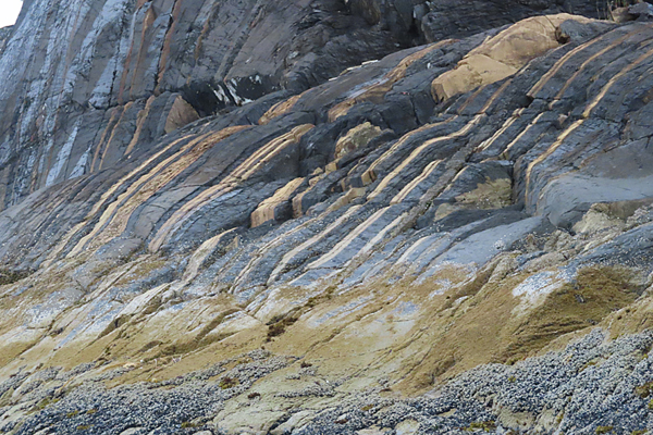 Shoreline in muir inlet Glacier Bay National Park Alaska
