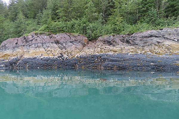 Shoreline in muir inlet Glacier Bay National Park Alaska