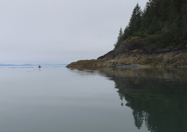 Shoreline in muir inlet Glacier Bay National Park Alaska